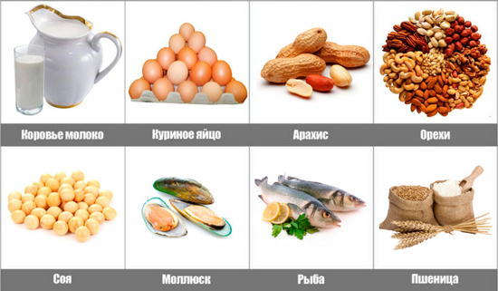 Основные пищевые аллергены