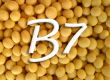 Витамин В7 (биотин)