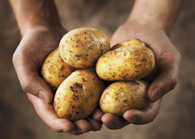 Беременным нужно ограничить потребление блюд из картофеля