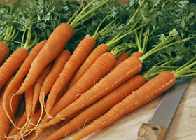 Морковь может защитить от рака груди
