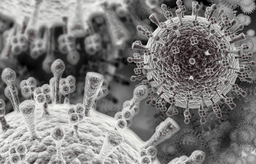 Фото вируса гриппа под микроскопом