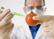 ГМО — что это такое