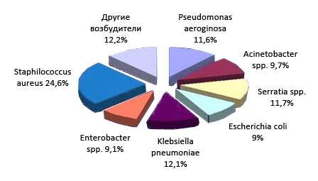 Этиологическая структура нозокомиальных инфекций крови