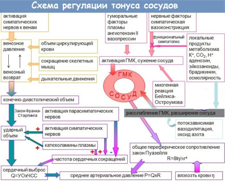 Церебральный ангиоспазм на фоне межполушарной асимметрии в пользу левой гемисферы