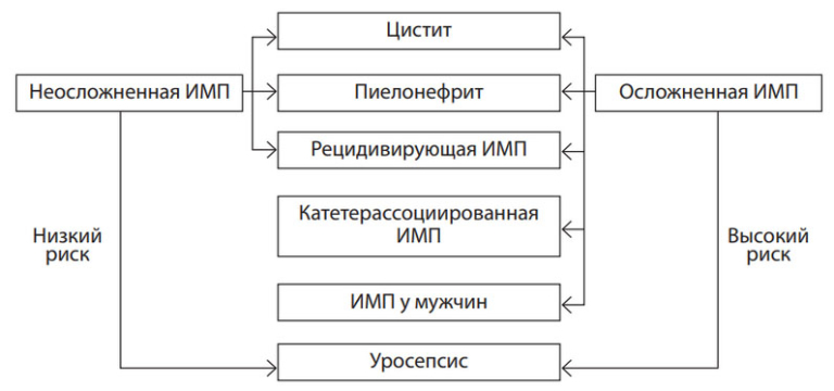 Инфекция мочевыводящих путей карта вызова