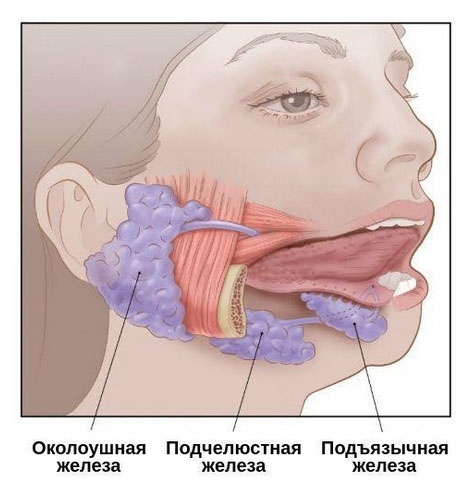 Птиализм что это такое