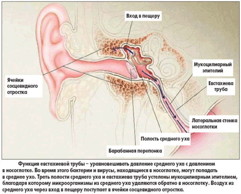 Как снять заложенность уха при отите быстро Мастоидит: характеристика, симптомы, лечение, прогноз - Medside.ru