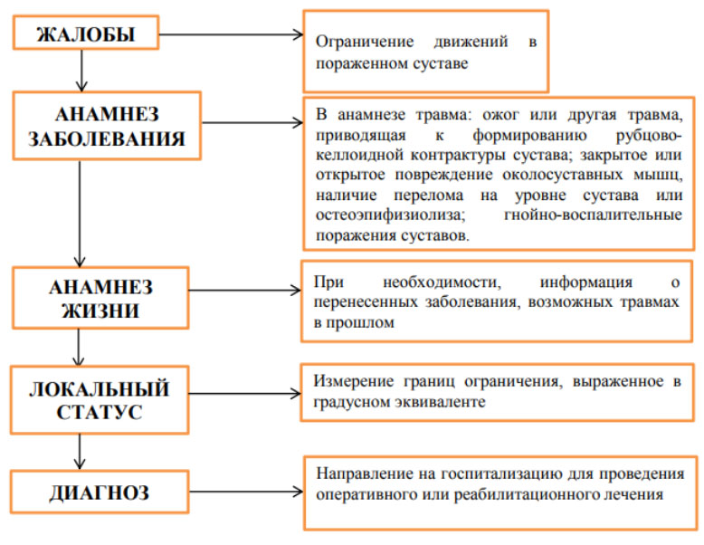 Разработать контрактуру