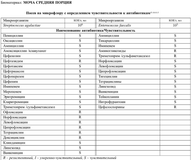 Пример расшифровки бак посева мочи