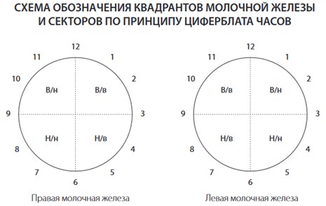 Схема обозначения квадрантов и секторов 