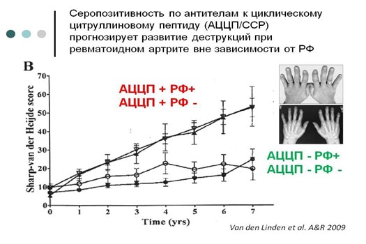 Серопозитивность АЦЦП