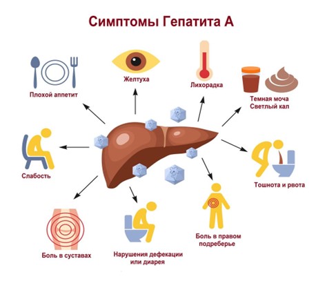 Симптомы гепатита А