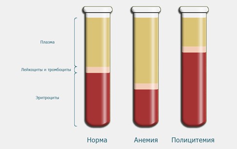Что такое гематокрит в анализе крови?
