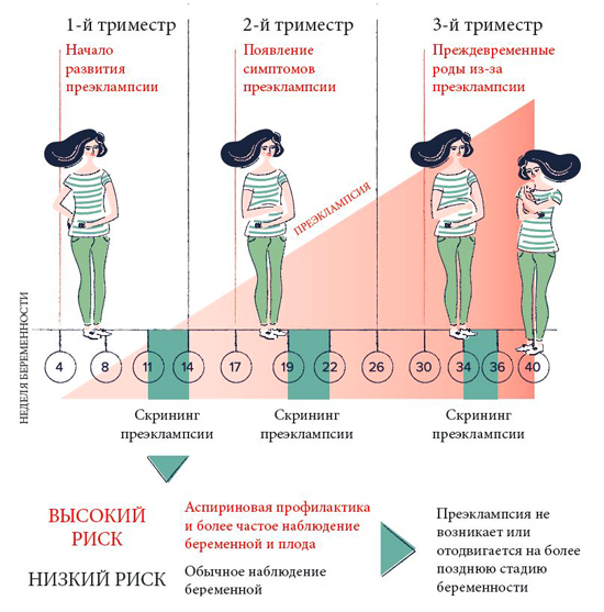 Риски развития преэклампсии Риски развития преэклампсии