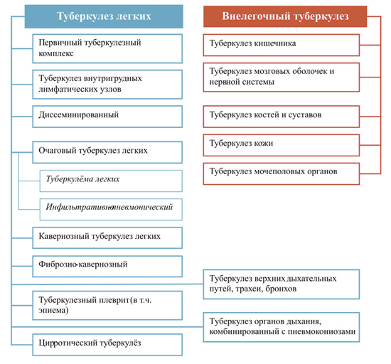 Классификация туберкулезов