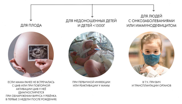Основные группы риска заражения ЦМВ Основные группы риска заражения ЦМВ