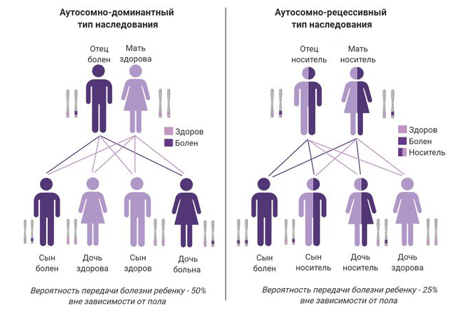 Типы наследования при ихтиозе Типы наследования при ихтиозе