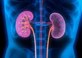 Туберкулез почек